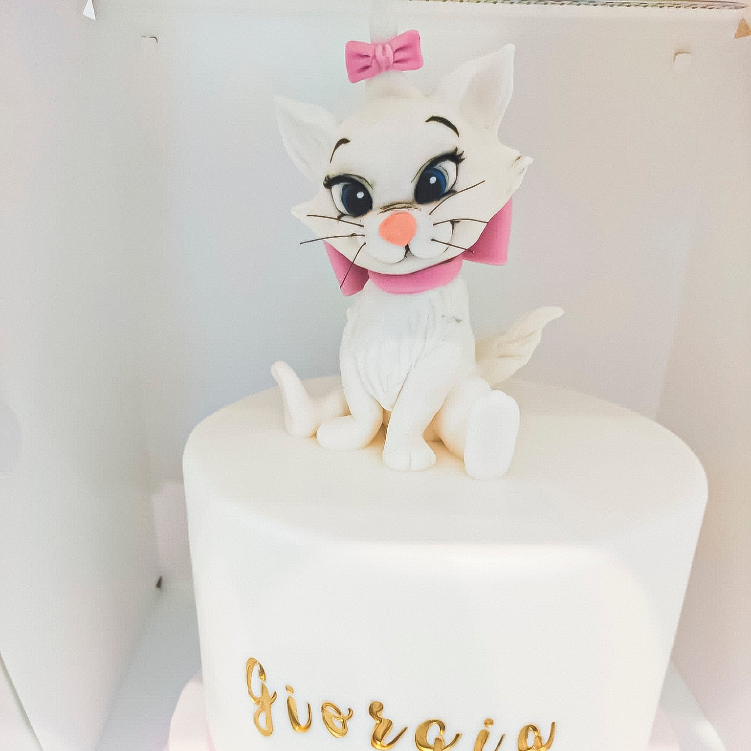 Dummy Cake Minou